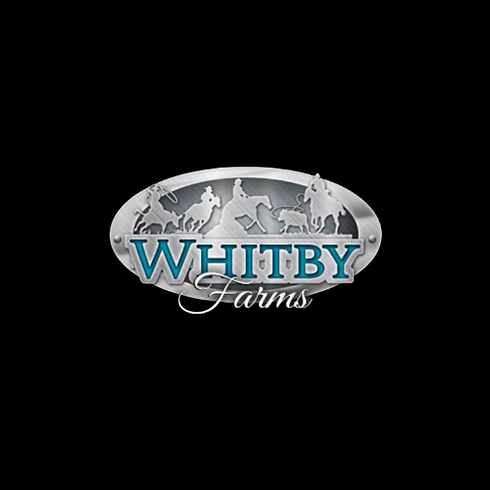 Untitled design (2).png